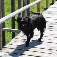 Ausflug im Mai 2016 (6)